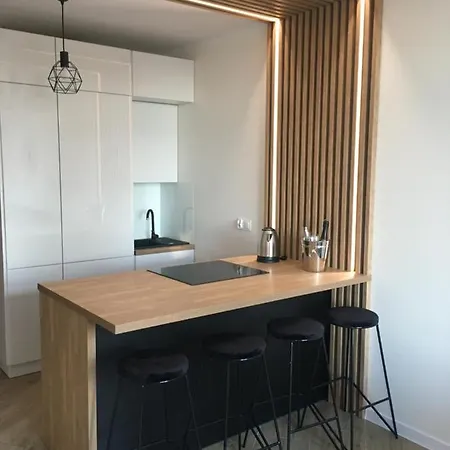Nowoczesny Apartament Z Widokiem Na Jezioro Charzykowy Exterior photo